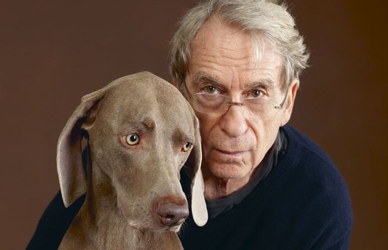 הצלם ויליאם ווגמן