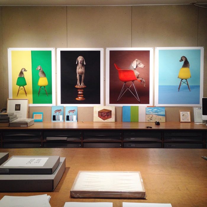 צילומים מאת ויליאם ווגמן