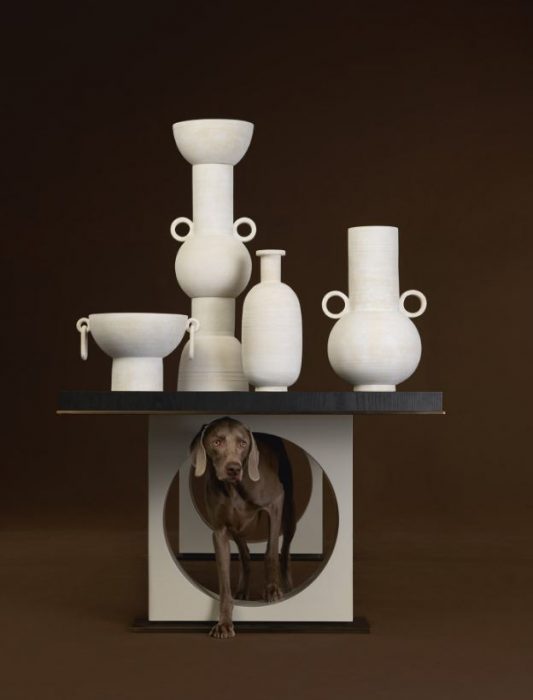 צילום: ווגמן