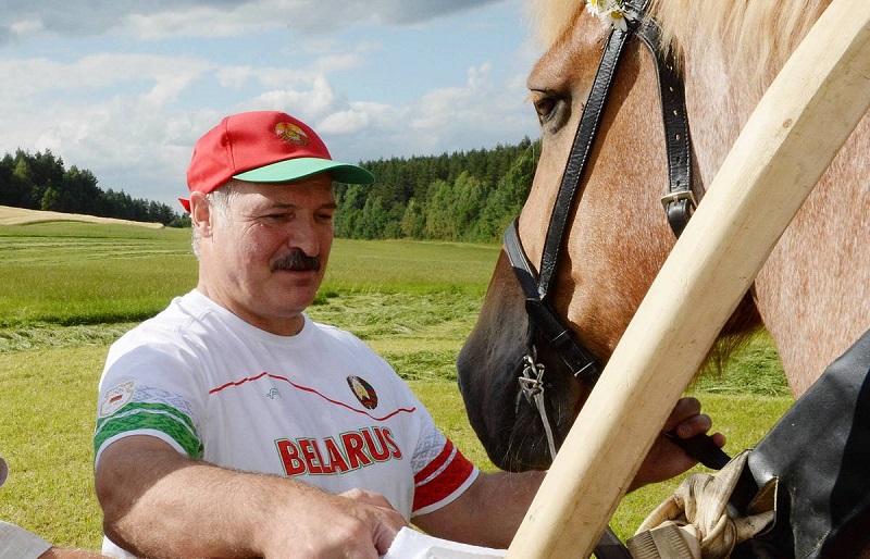 חתולים, ברווזי מוסקובי וחיות מחמד אחרות של אלכסנדר לוקשנקו