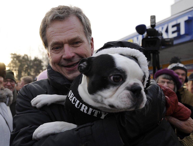 הבוסטון טרייר של נשיא פינלנד סאולי נייניסטו