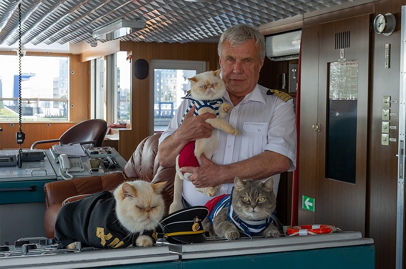 לְהַדגִישׁ