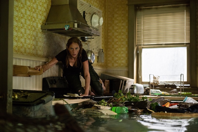 מַלכּוֹדֶת