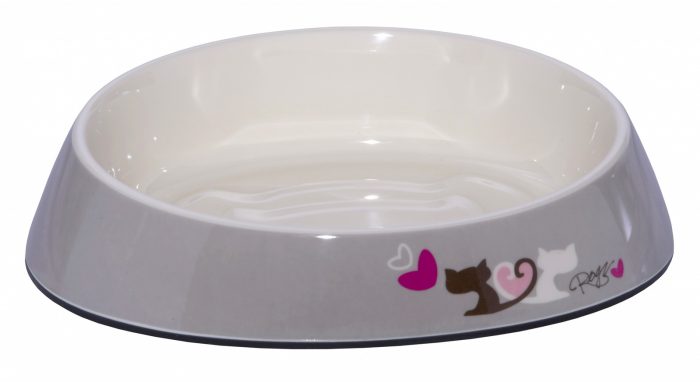 איך לבחור את הקערה המתאימה לחתול שלכם