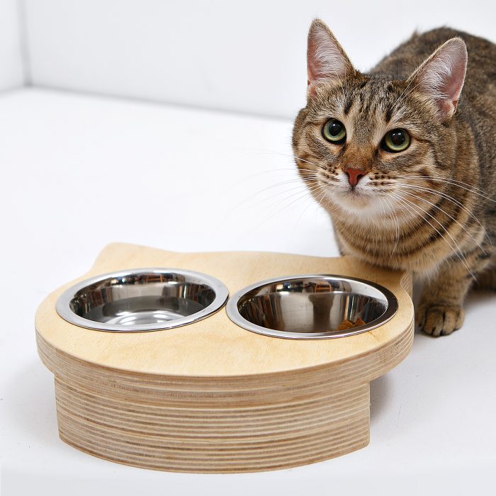 איך לבחור קערת חתולים