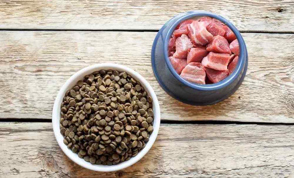 האם אני יכול לתת לכלב שלי מזון יבש ומזון טבעי?