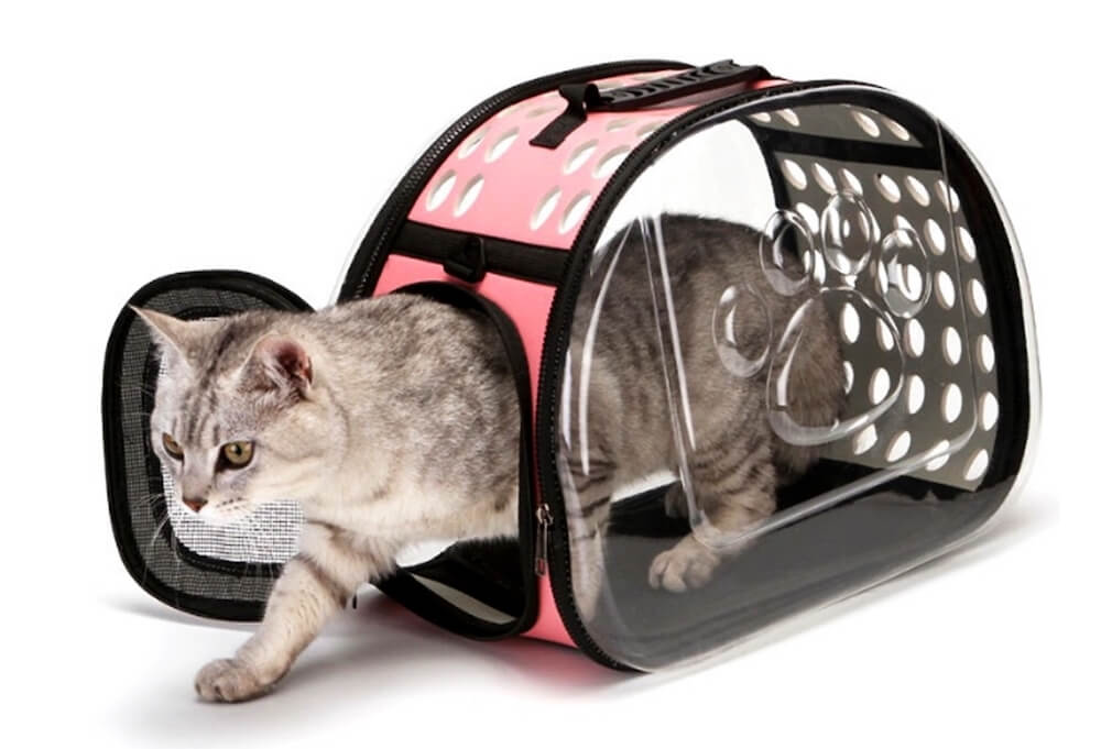 בחירת מנשא לחתול שלך