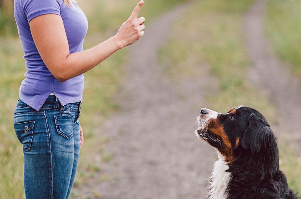 מסקנות קצרות