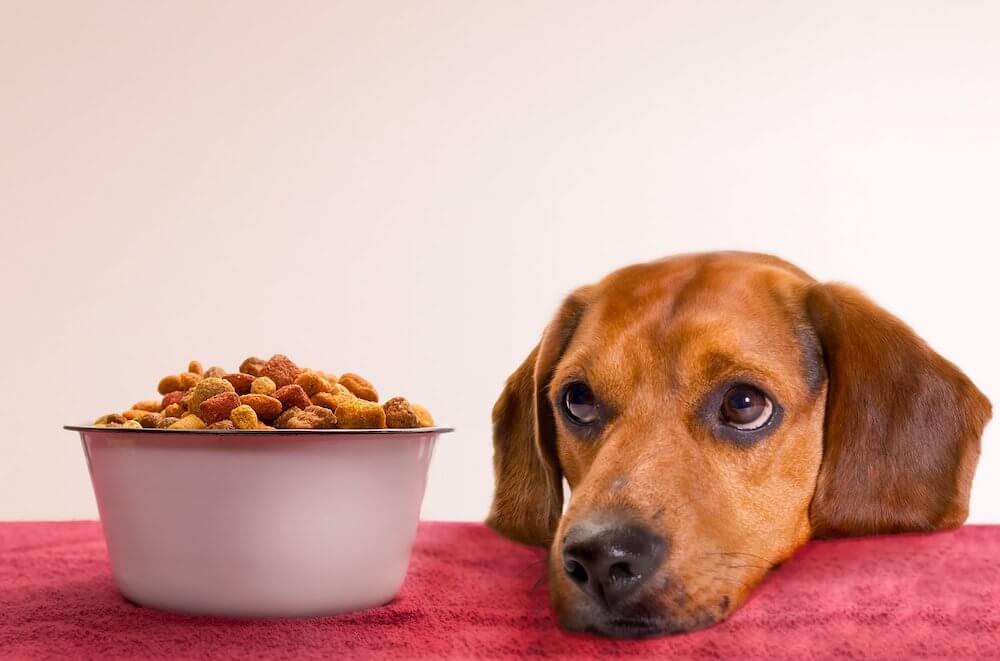 טעויות בפיטום