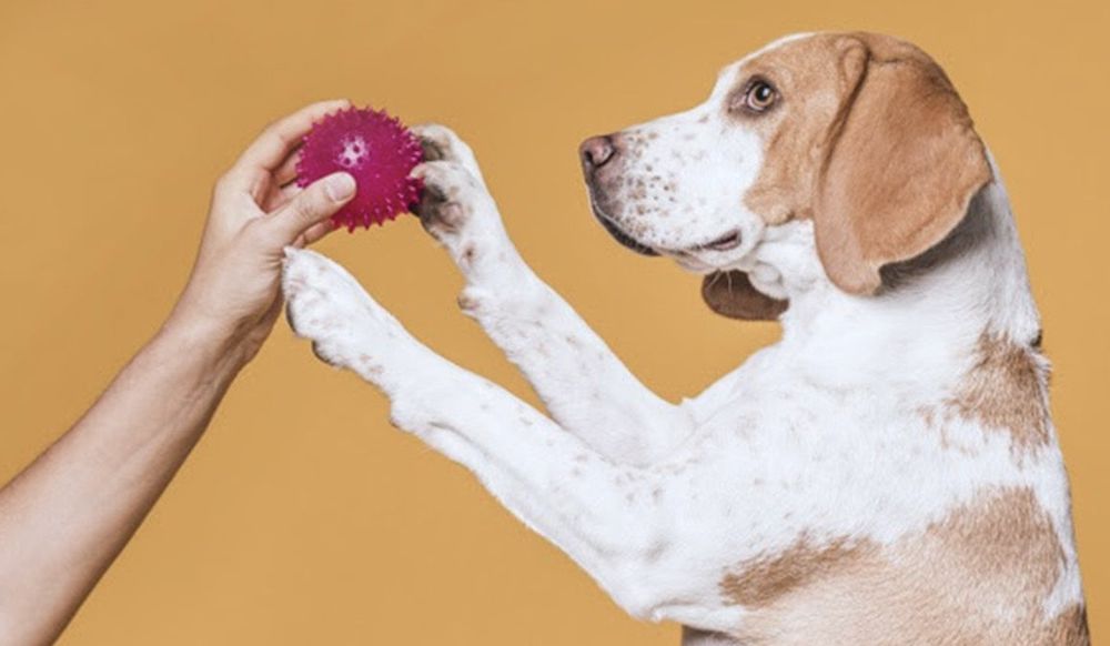 אפשרויות מורכבות יותר להבאה ומסירה של פריטים