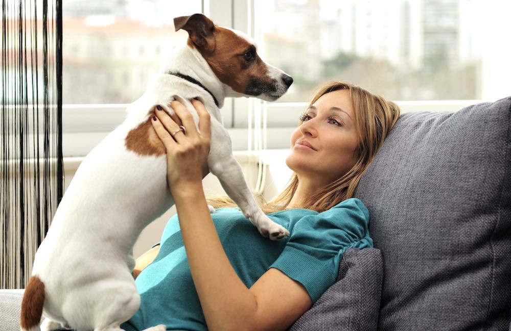 האם כדאי לכם להכניס כלב לדירה? יתרונות וחסרונות