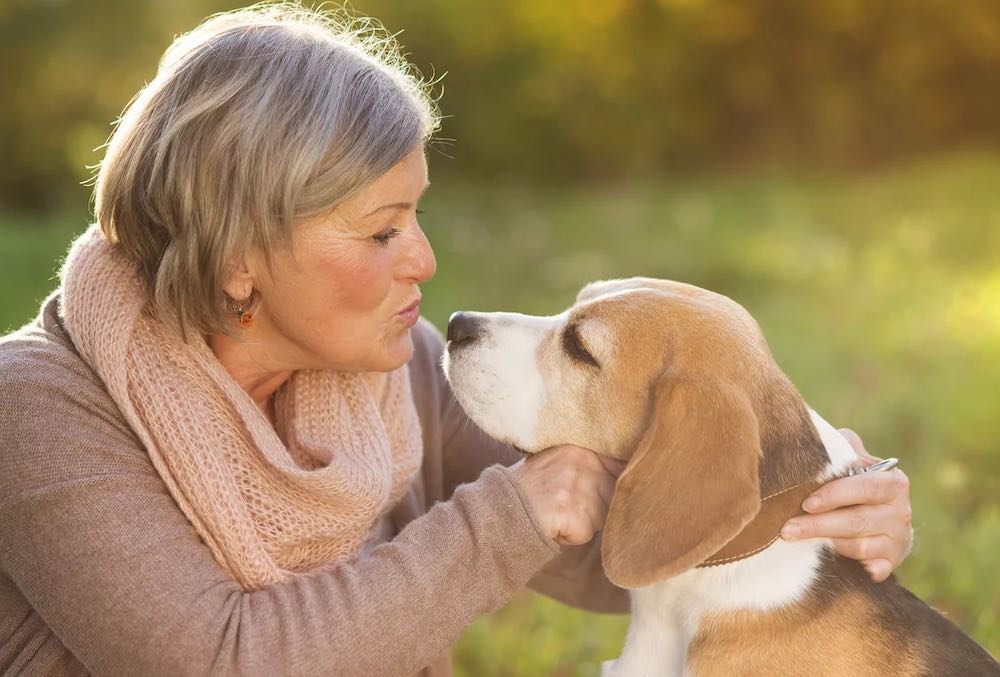 כלב לאדם מבוגר: טיפים ושיקולים