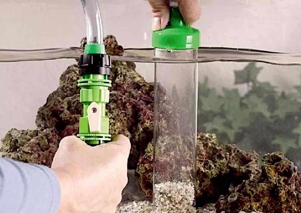 איך לנקות חצץ באקווריום בבית