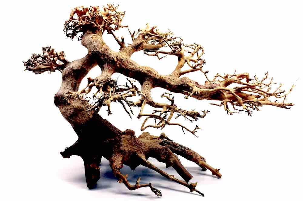 הכנה ועיבוד של עצי סחף