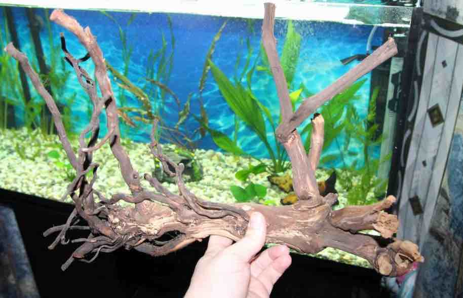 עצי סחף לאקווריום: טיפים וטריקים