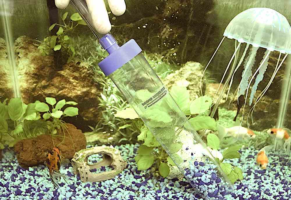 טיפים וטריקים לניקוי האקווריום שלכם