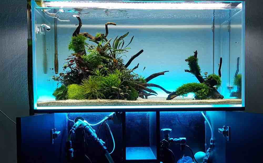 עיצוב קיר אחורי, תאורת אקווריום