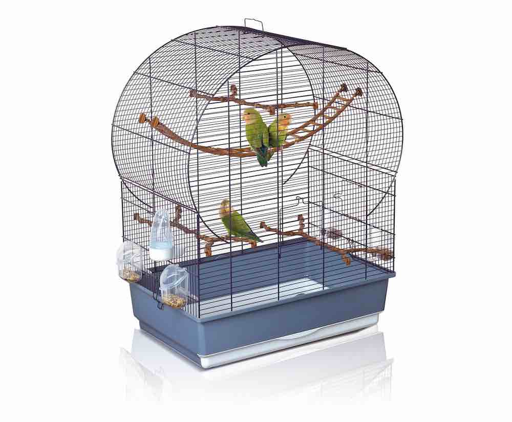 הכלוב הנכון עבור תוכי