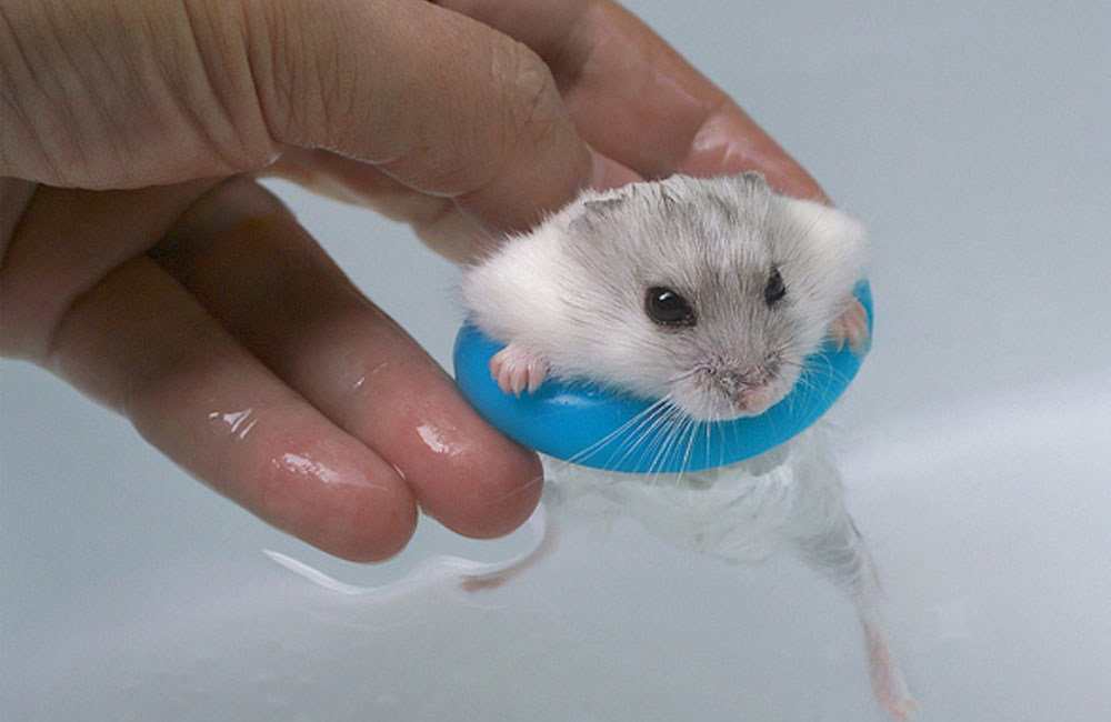 איך לשטוף אוגר בצורה נכונה