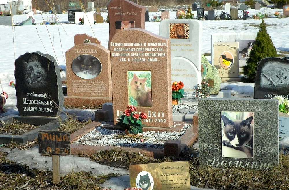 היכן ניתן לקבור חיות מחמד?