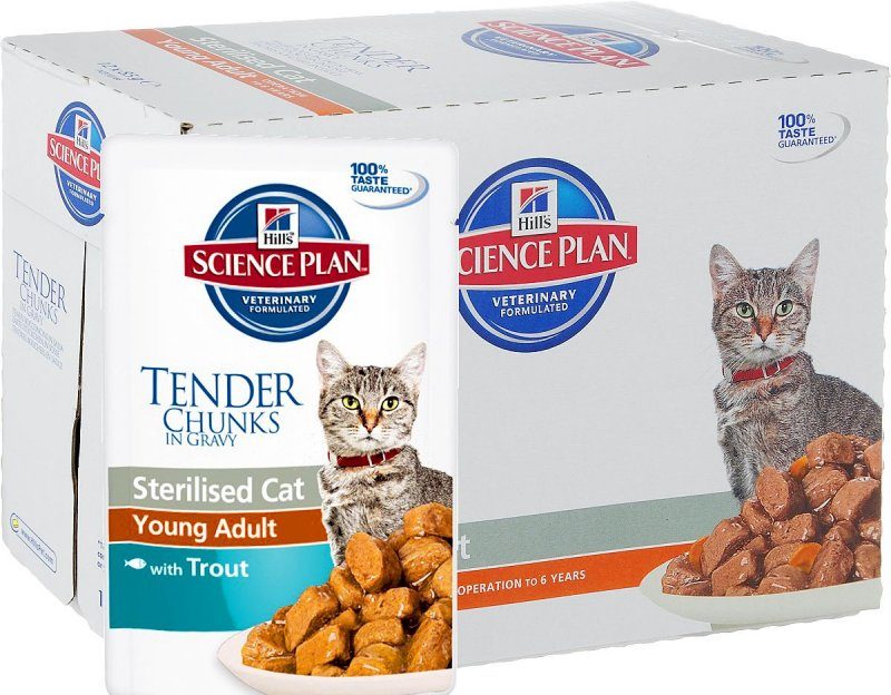 מזון לחתולים מסורסים של הילס