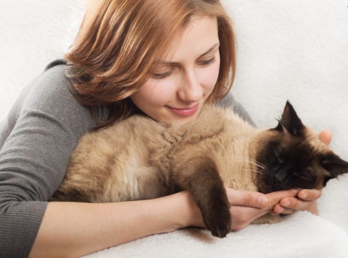 ילדה מחזיקה חתול