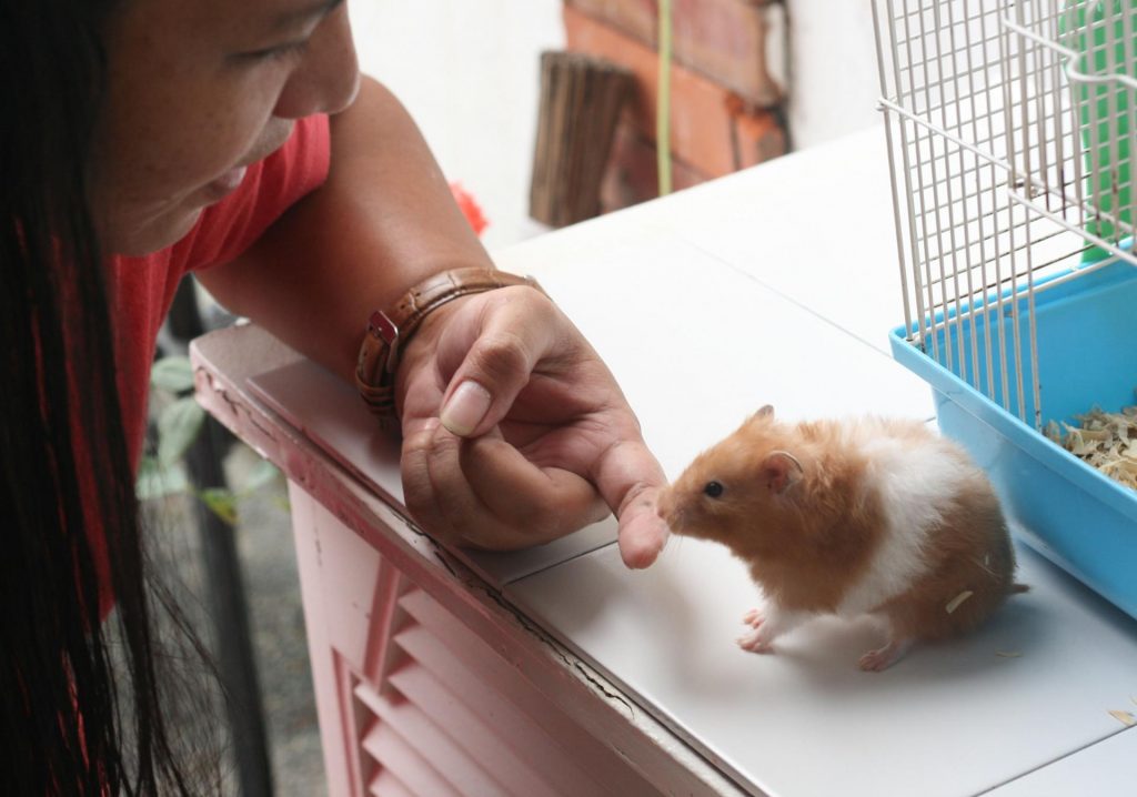 אוגר מרחרח אצבע