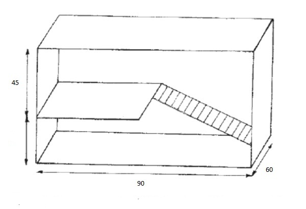 ציור של כלוב לארנבים דקורטיביים