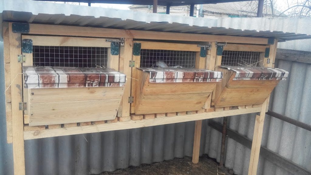 כלוב ארנבים