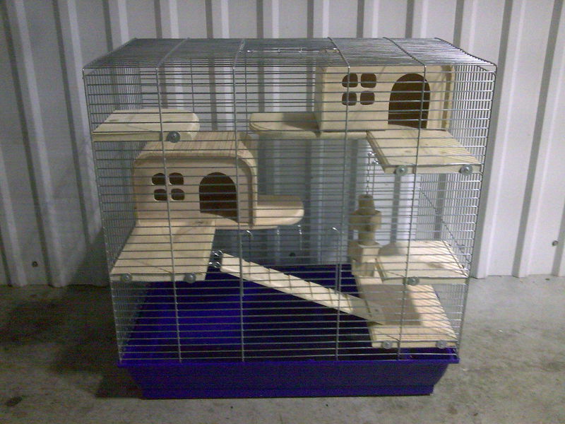 בית לצ'ינצ'ילה