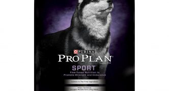 ביצועי תוכנית המקצוענים