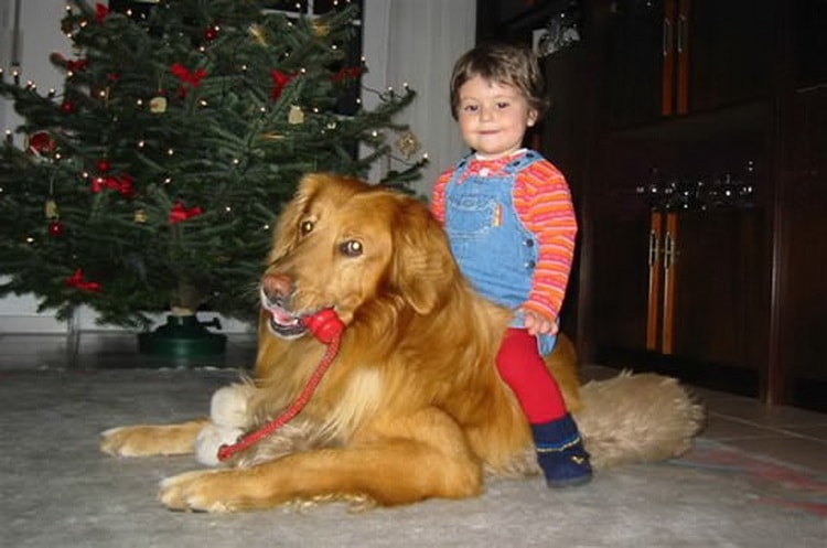 ילד רוכב על הובווארט