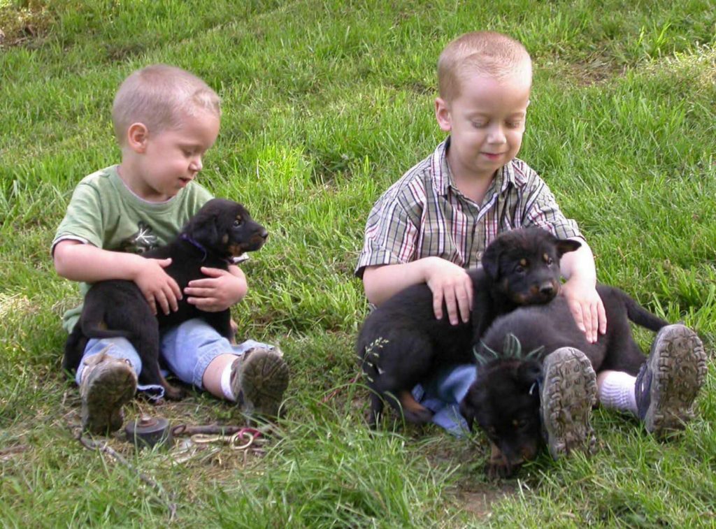 גורים עם ילדים