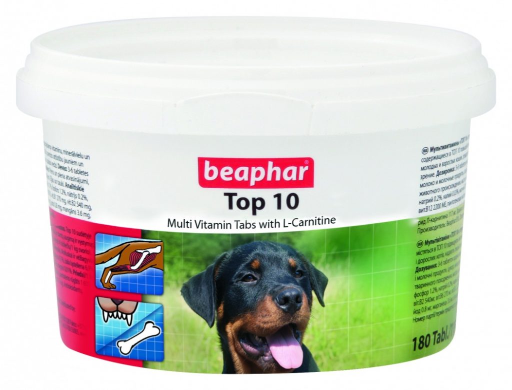 צנצנת ויטמינים לכלבים