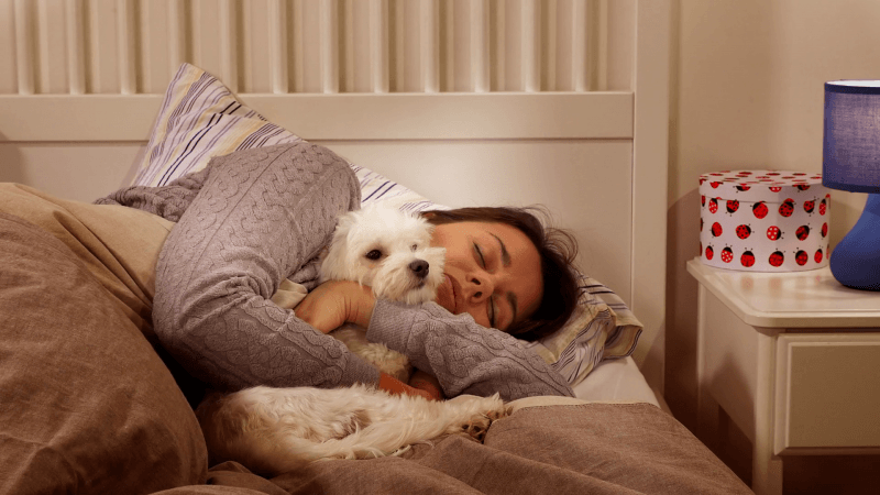 גזעי כלבים היפואלרגניים